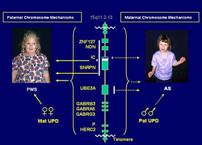 : pws-and-as-mechanisms