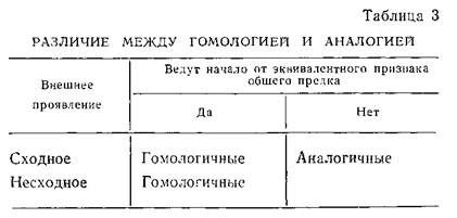Гомология